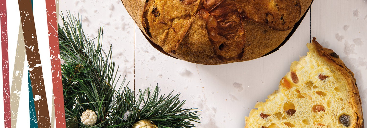 Panettone Speciale EN