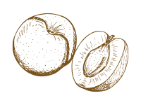 ico-albicocche.png